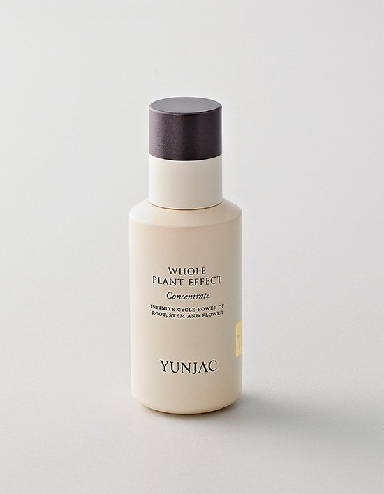 [연작] 전초 컨센트레이트 40ml