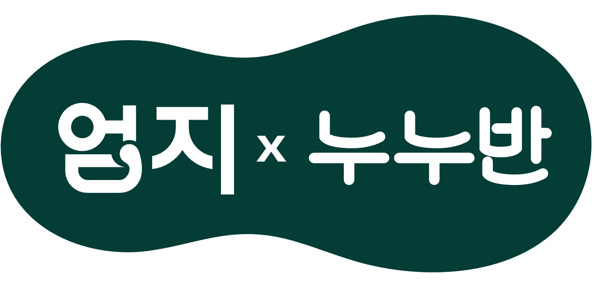 누누반
