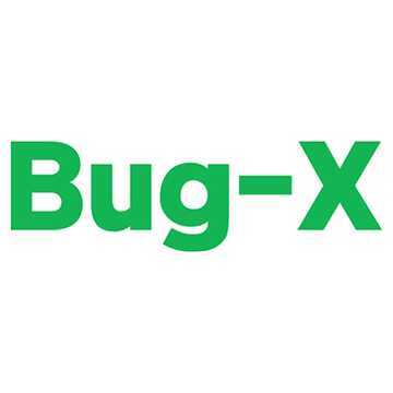 버그엑스