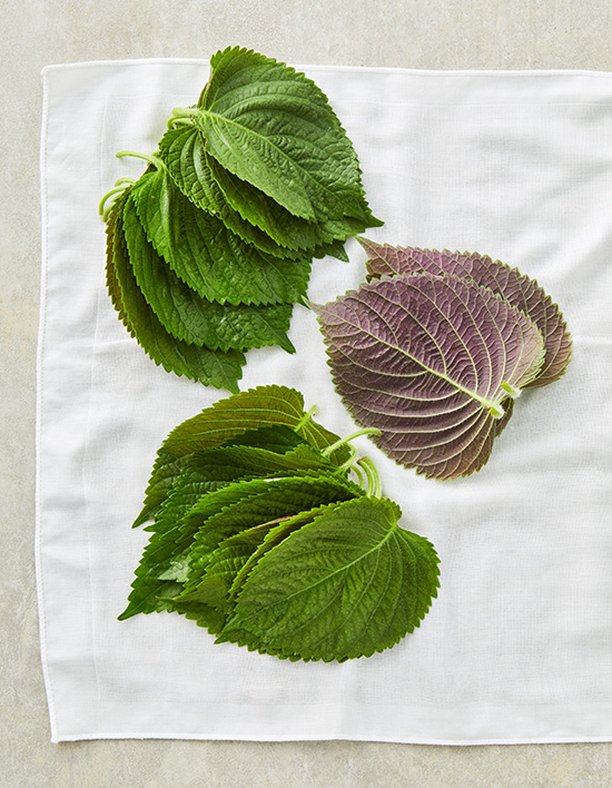 [KF365] 깻잎 30g